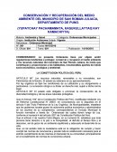 Ordenanza municipal. LA CONSTITUCION POLITICA DEL PERU