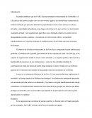 Si las negociaciones continúan de manera pacífica y eficiente entre el Estado (apoyado por la sociedad) y las FARC el futuro de la Paz en Colombia se logrará.