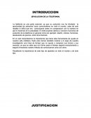 INTRODUCCION (EVOLUCION DE LA TELEFONIA)