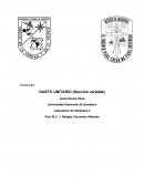 Practica #3 GASTO UNITARIO (Sección variable)