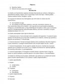 Práctica de laboratorio: "Identificación de lípidos"