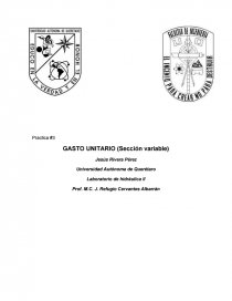 Practica #3 GASTO UNITARIO (Sección variable). Página 1