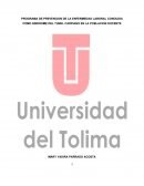 PROGRAMA DE PREVENCION DE LA ENFERMEDAD LABORAL CONOCIDA COMO SINDROME DEL TUNEL CARPIANO EN LA POBLACION DOCENTE.
