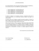 Siremas organizacionales.