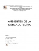 Ambientes de la mercadotecnia.