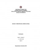 NOCION Y PRINCIPIOS DEL DERECHO PENAL