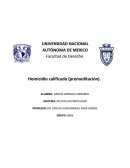 Homocidio con premeditación en el Código Penal Federal