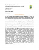 La Naturaleza del ser humano.