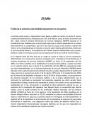 Centencia tribunal superior administrativo. El fallo