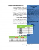 RESUMEN EJECUTIVO AFP.