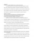 EL MEDIO AMBIENTE DE LAS ORGANIZACIONES