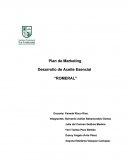 Elaboracion de aceite escencial.