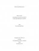 Informe de aprendizaje práctico