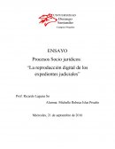 La reproducción digital de los expedientes judiciales