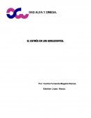 EL ESTRÉS EN LOS ADOLECENTES DE LA PREPARATORIA PLANTEL 1, VILLAHERMOSA, TABASCO.