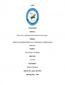 Los servicios migratorios en la República Dominicana.