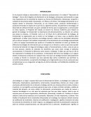 Blanqueado de hoja de maiz