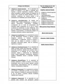 TIPOS DE INTELIGENCIA. Inteligencias Múltiples