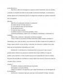 Para llevar a cabo una investigación se requieren ciertos lineamientos