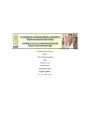 Taller habilidades sociales.