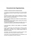Economia Organizacional.