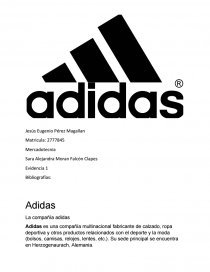 Lógicamente anchura cajón Adidas La compañía adidas - Apuntes - Pepeproblemas88