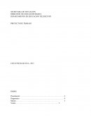 DEPARTAMENTO DE EDUCACION TELESECUND.