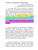 LA LIBERTAD DE EXPRESIÓN ES UN PRIVILEGIO DE POCOS