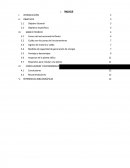 La empresa Energía Eólica S.A.