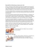 Desarrollo físico del bebe durante el primer año de vida