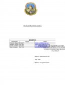 SINTESIS DEL PROYECTO- BREVE DESCRIPCION DE LA ALTERNATIVA ELEGIDA