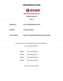 Formulacion de Proyecto de RSE