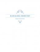 RAMAS DEL DERECHO Introducción al derecho