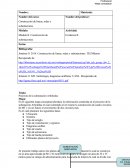 Construcción de líneas, redes y subestaciones.