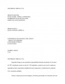 Caso SEGURIDAD OMEGA LTTA