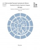 Dispersion de semillas