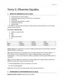 Impactos ambientales en el agua