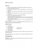 Divisiones de la cabeza Ósea