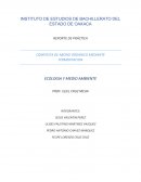 INSTITUTO DE ESTUDIOS DE BACHILLERATO DEL ESTADO DE OAXACA.