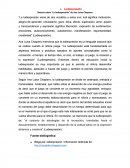 Síntesis sobre “La ludiexpresión” de Ana Luisa Chaparro