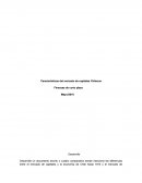 Características del mercado de capitales Chilenos...