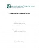 Programa anual de trabajo en servicio social de enfermeria.