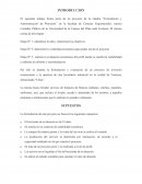Etapa N° 3: realizar la evaluación económica del perfil donde se medirá la rentabilidad y elaborar un informe y recomendación..