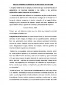 Prueba de ensayo de gerencia de recursos humanos.