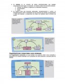 Organizaciones comerciales como sistemas