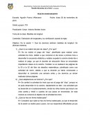 Objetivo: De la sesión 1: Que los alumnos estimen medidas de longitud. De diversas maneras.