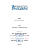 ANALISIS DEL MACROENTORNO SECTOR CEMENTOS.