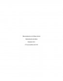 Representación en el dibujo técnico Interpretación de planos