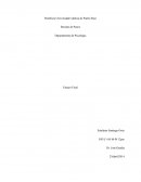 Departamento de Psicología Ensayo Final