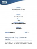 Viaje al Centro de Netflix.